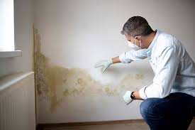 Best Commercial Mold Inspection  in Hayden, ID